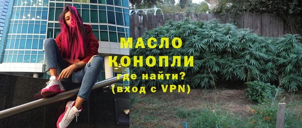 прущие грибы Абаза