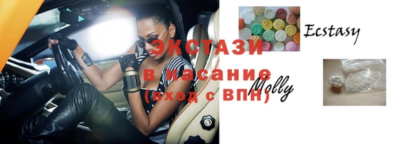прущие грибы Абаза