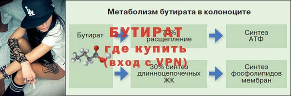прущие грибы Абаза