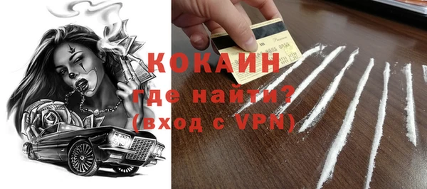 прущие грибы Абаза