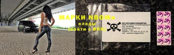 прущие грибы Абаза