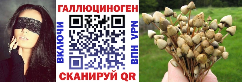 Псилоцибиновые грибы Magic Shrooms  Абинск 